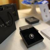 Elizabethan gentleman 10.