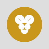 Lev set s náušnicami