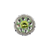 Chrysanthemum no. 01