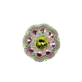 Chrysanthemum no. 02